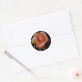 ORANJE ROOS 3 RONDE STICKER (Envelop)