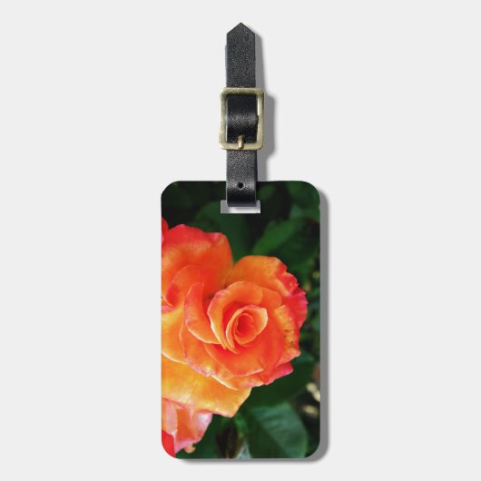 Oranje roos bagagelabel (Voorkant verticaal)