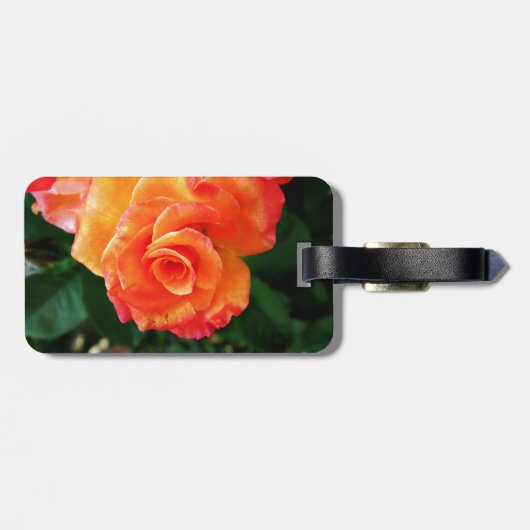 Oranje roos bagagelabel (Achterkant horizontaal)