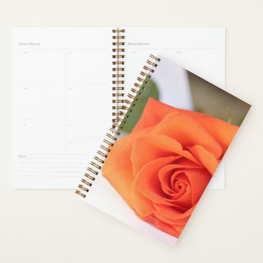 Oranje Roos Benzinefloeren Planner (Display)