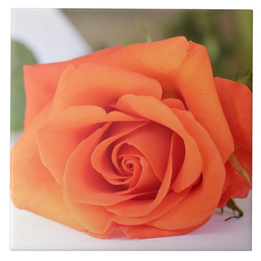 Oranje Roos Benzinefloeren Tegeltje (Voorkant)
