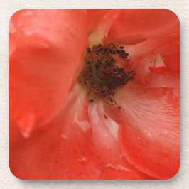 Oranje Roos Bier Onderzetter