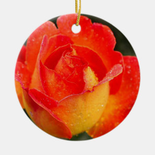 Oranje Roos Bloemen Keramisch Ornament