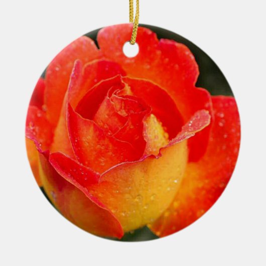 Oranje Roos Bloemen Keramisch Ornament (Voorkant)