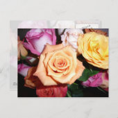 Oranje Roos Briefkaart (Voorkant / Achterkant)