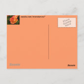 Oranje Roos Briefkaart (Achterkant)