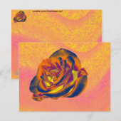 Oranje Roos Briefkaart (Voorkant / Achterkant)