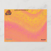 Oranje Roos Briefkaart (Achterkant)