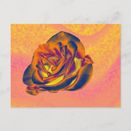 Oranje Roos Briefkaart (Voorkant)