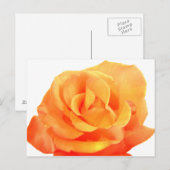 Oranje Roos Briefkaart (Voorkant / Achterkant)