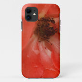 Oranje Roos Case-Mate iPhone Case (Achterkant)