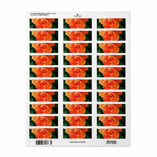 Oranje roos etiket (Full Sheet)