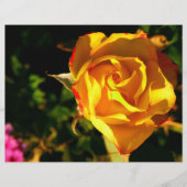 Oranje roos flyer (Voorkant)