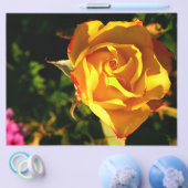 Oranje roos flyer (Enkel)