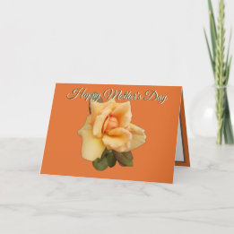 Oranje Roos Foto Red Oranje Moederdag Kaart
