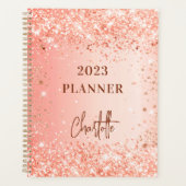Oranje roos gold glitter name script 2023 planner (Voorkant)
