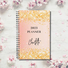 Oranje roos goudglitterscript glam 2023 planner