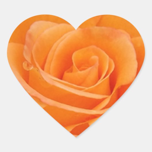 Oranje Roos Hart Sticker (Voorkant)