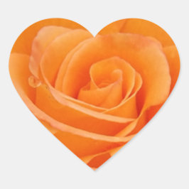 Oranje Roos Hart Sticker