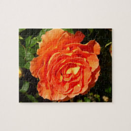 Oranje Roos I  Floral Legpuzzel