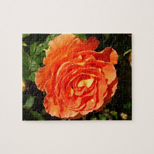 Oranje Roos I  Floral Legpuzzel (Horizontaal)