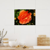 Oranje Roos I  Floral Poster (Keuken)
