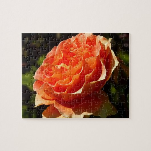 Oranje Roos II Mooie Floral Legpuzzel (Horizontaal)