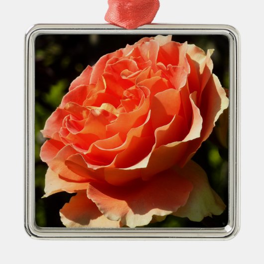 Oranje Roos II Mooie Floral Metalen Ornament (Voorkant)