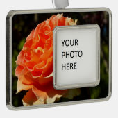 Oranje Roos II Mooie Floral Verzilverd Omlijst Ornament (Rechts)