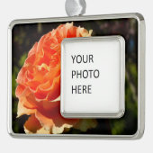 Oranje Roos II Mooie Floral Verzilverd Omlijst Ornament (Links)