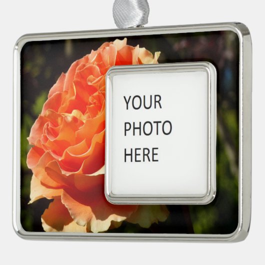 Oranje Roos II Mooie Floral Verzilverd Omlijst Ornament (Links)