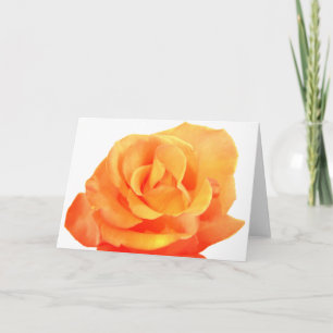 Oranje Roos kaart