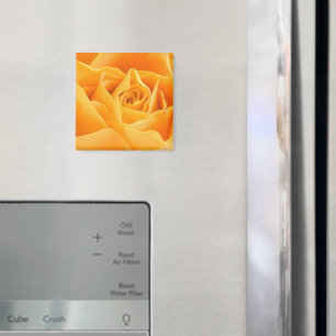 Oranje Roos Magneet