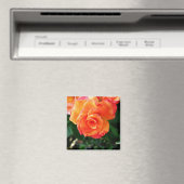 Oranje roos magneet (Insitu (Vaatwasser))