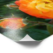 Oranje Roos Meditatie Fotowanddecor Foto Afdruk (Hoek)