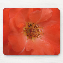 Oranje Roos Muismat