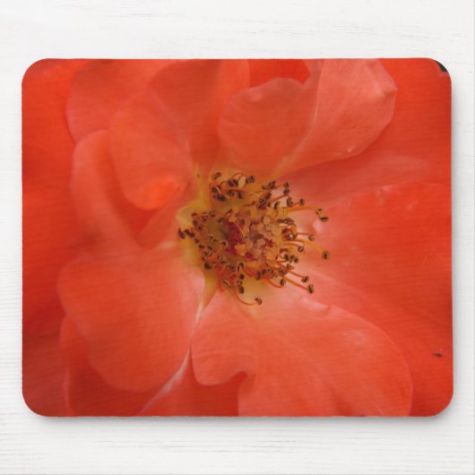 Oranje Roos Muismat (Voorkant)