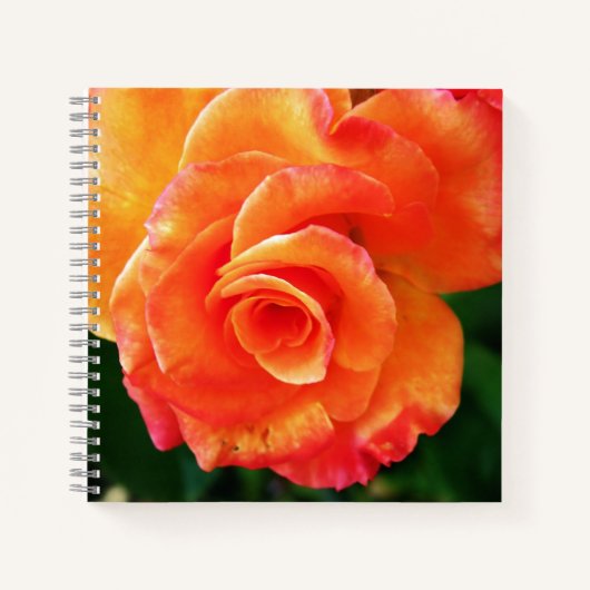 Oranje roos notitieboek (Voorkant)