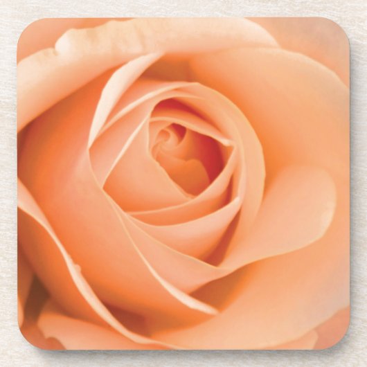 Oranje Roos Onderzetter (Voorkant)
