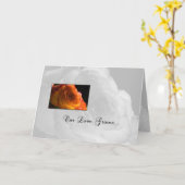 Oranje Roos Ons Jubileum Kaart (Gele Bloem)