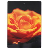 Oranje roos op zwart klembord (Achterkant)