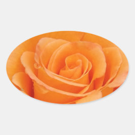 Oranje Roos Ovale Sticker