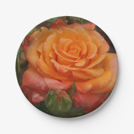 Oranje Roos Papier Bord