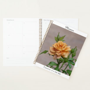Oranje Roos Planner