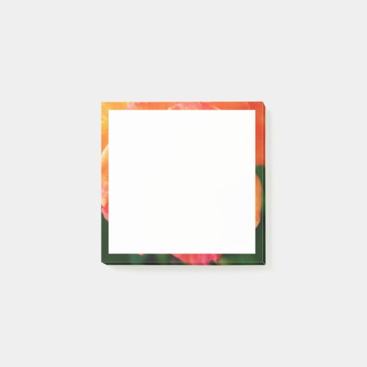 Oranje roos post-it® notes (Voorkant)