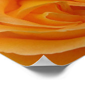 Oranje Roos Poster (Hoek)