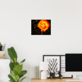 Oranje roos poster (Thuiskantoor)