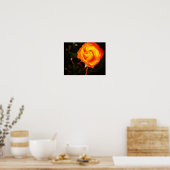 Oranje roos poster (Keuken)