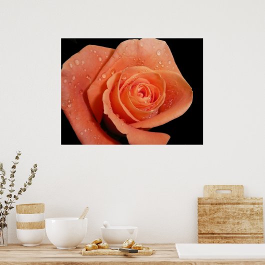 Oranje Roos Poster (Keuken)