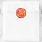 Oranje Roos Ronde Sticker (Tas)